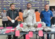 Polresta Jayapura Bongkar Jaringan Narkoba, Amankan WNA Papua Nugini dan 7,5 Kg Ganja