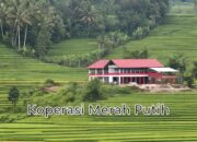 Model Inovatif Koperasi Merah Putih untuk Pemberdayaan Desa