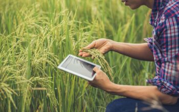 Pertanian Tanpa Agronomi? Siap-Siap Gagal Panen!