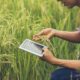 Pertanian Tanpa Agronomi? Siap-Siap Gagal Panen!