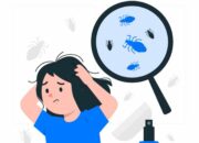 Cara Realistis Mengatasi Kutu Rambut dengan Cepat