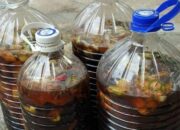 Limbah Dapur Jadi Berkah, Kenali Kekuatan Eco Enzyme