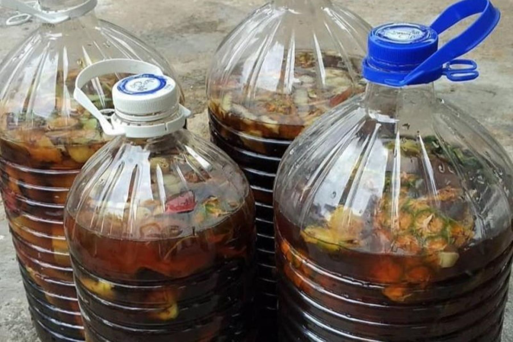 Limbah Dapur Jadi Berkah, Kenali Kekuatan Eco Enzyme