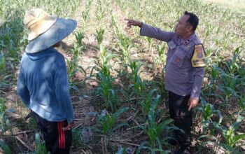 Bhabinkamtibmas Desa Bagik Polak Barat Dorong Petani Manfaatkan Lahan Kosong