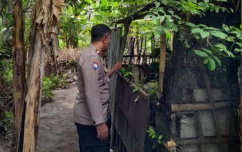 Polsek Batulayar Perkuat Ketahanan Pangan Lewat Edukasi Warga Senggigi