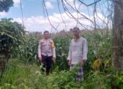 Polri Hadir Bantu Petani Jagaraga Tingkatkan Produktivitas Lahan Pertanian
