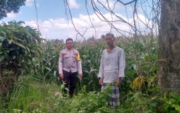 Polsek Kuripan Gencarkan Program Ketahanan Pangan di Desa Jagaraga, Lombok Barat