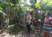 Polsek Kuripan Perkuat Program Ketahanan Pangan Lewat Pemanfaatan Pekarangan Desa Jagaraga