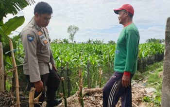 Sinergi Polsek Kediri dan Petani Banyumulek untuk Wujudkan Kemandirian Pangan