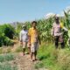 Bhabinkamtibmas Desa Mumbu Dampingi Petani Jagung Dukung Ketahanan Pangan Nasional