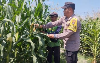 Sinergi Polri dan Petani Wujudkan Ketahanan Pangan Menuju Indonesia Emas 2045