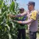 Sinergi Polri dan Petani Wujudkan Ketahanan Pangan Menuju Indonesia Emas 2045
