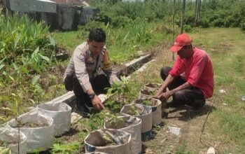 Sinergi Polsek Labuapi dan Warga Mapak Reong Dorong Pemanfaatan Pekarangan Produktif