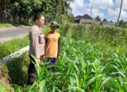 Kepolisian Kediri Bina Petani Jagung Gelogor, Perkuat Ekonomi dan Pangan Lokal