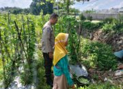 Polisi dan Petani Desa Labuapi Bersinergi Jaga Ketahanan Pangan Nasional