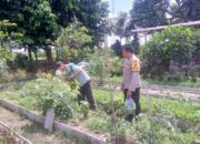 Sinergi Polri dan Petani Dusun Tegal Wujudkan Kemandirian Pangan Desa Jagaraga