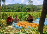 Polri Dorong Program Ketahanan Pangan di Desa Eyat Mayang, Lombok Barat