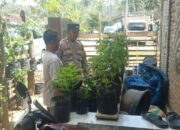 Sinergi Polri dan Masyarakat Sekotong Perkuat Ketahanan Pangan dan Kamtibmas