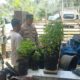 Polri Ajak Warga Desa Taman Baru Manfaatkan Pekarangan untuk Ketahanan Pangan