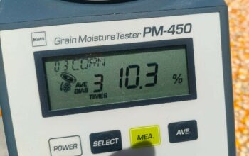 Jagung Desa Beleka dengan Kadar Air 10,3 KA Siap Serap Bulog NTB