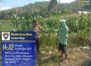 Dukung Ketahanan Pangan: BKTM Rhee Dampingi Petani di Lahan Persawahan