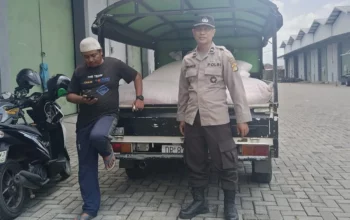 Ketahanan Pangan Lobar Sukses, 24,4 Ton Jagung Masuk Gudang Bulog