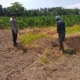 Bhabinkamtibmas Ajak Petani Jagaraga Wujudkan Desa Tangguh Pangan