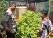 Optimalkan Lahan Kosong, Warga Senggigi Diedukasi Diversifikasi Pangan