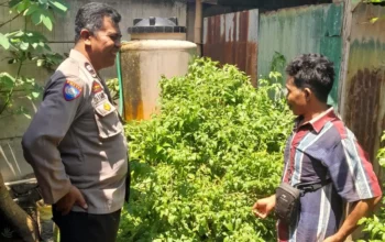 Optimalkan Lahan Kosong, Warga Senggigi Diedukasi Diversifikasi Pangan