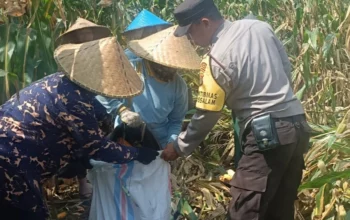 Polres Lombok Barat Kawal Stabilitas Harga Beras untuk Lindungi Warga