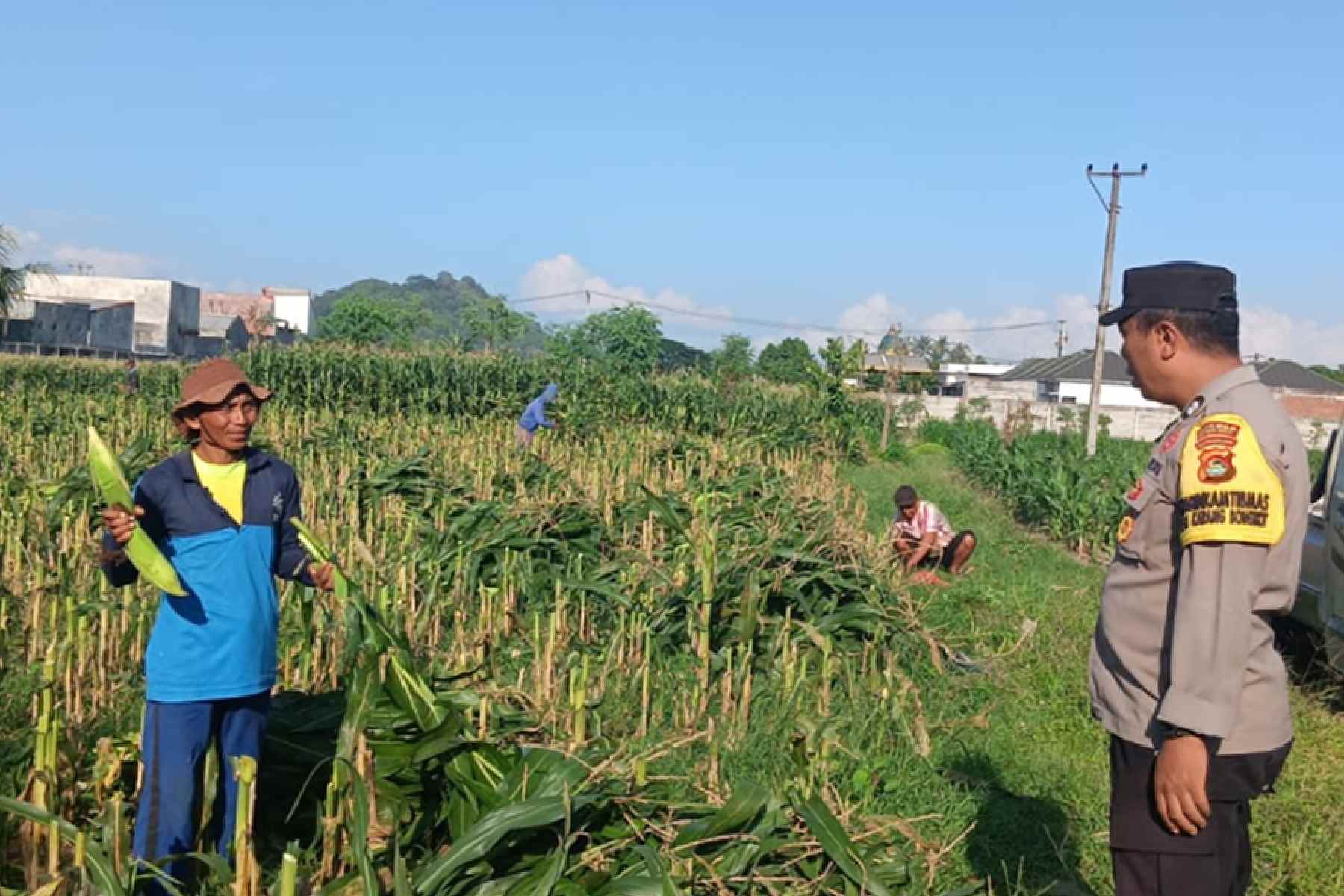 Polri Dukung Ketahanan Pangan, Bhabinkamtibmas Labuapi Edukasi Warga Manfaatkan Lahan Kosong