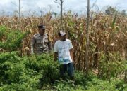 Langkah Praksis Polsek Gerung: Edukasi Pemanfaatan Lahan Kosong