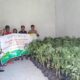 POLSEK SEKONGKANG DAMPINGI (GGM) SUMBAWA BARAT SALURKAN BIBIT TANAMAN DI WILAYAH KECAMATAN SEKONGKANG