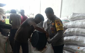 Jaga Kualitas, Polri Bantu Petani Lombok Barat Pipil Jagung