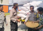 Jaga Ketahanan Pangan, Polri Kawal Penyerapan Jagung Petani di NTB