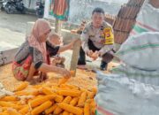 Bhabinkamtibmas Lombok Barat Dukung Distribusi Jagung ke Bulog