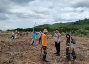 BHABINKAMTIBMAS DESA HU’U LAKUKAN PEMANTAUAN LAHAN JAGUNG, DUKUNG PROGRAM KETAHANAN PANGAN NASIONAL
