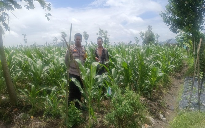 Sukseskan Tanam Padi, Polri Dampingi Petani di Lombok Barat