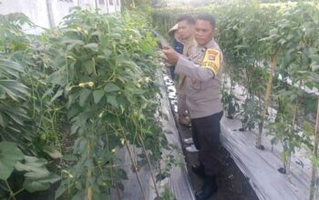Kuatkan Ketahanan Pangan, P4S Lombok Barat Dorong Kompetensi Petani