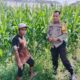 Polsek Labuapi Kawal Ketahanan Pangan di Bagik Polak