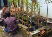 Cara Warga Desa Perampuan Lombok Barat Wujudkan Swasembada Pangan