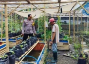 Bhabinkamtibmas Desa Bajur Edukasi Warga Manfaatkan Lahan Sempit