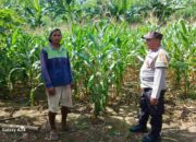 Polsek Gerung Dorong Pemanfaatan Lahan Pekarangan di Giri Tembesi