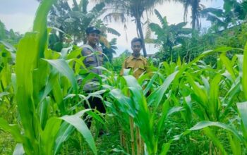 Langkah Proaktif Polsek Labuapi Dukung Kemandirian Pangan