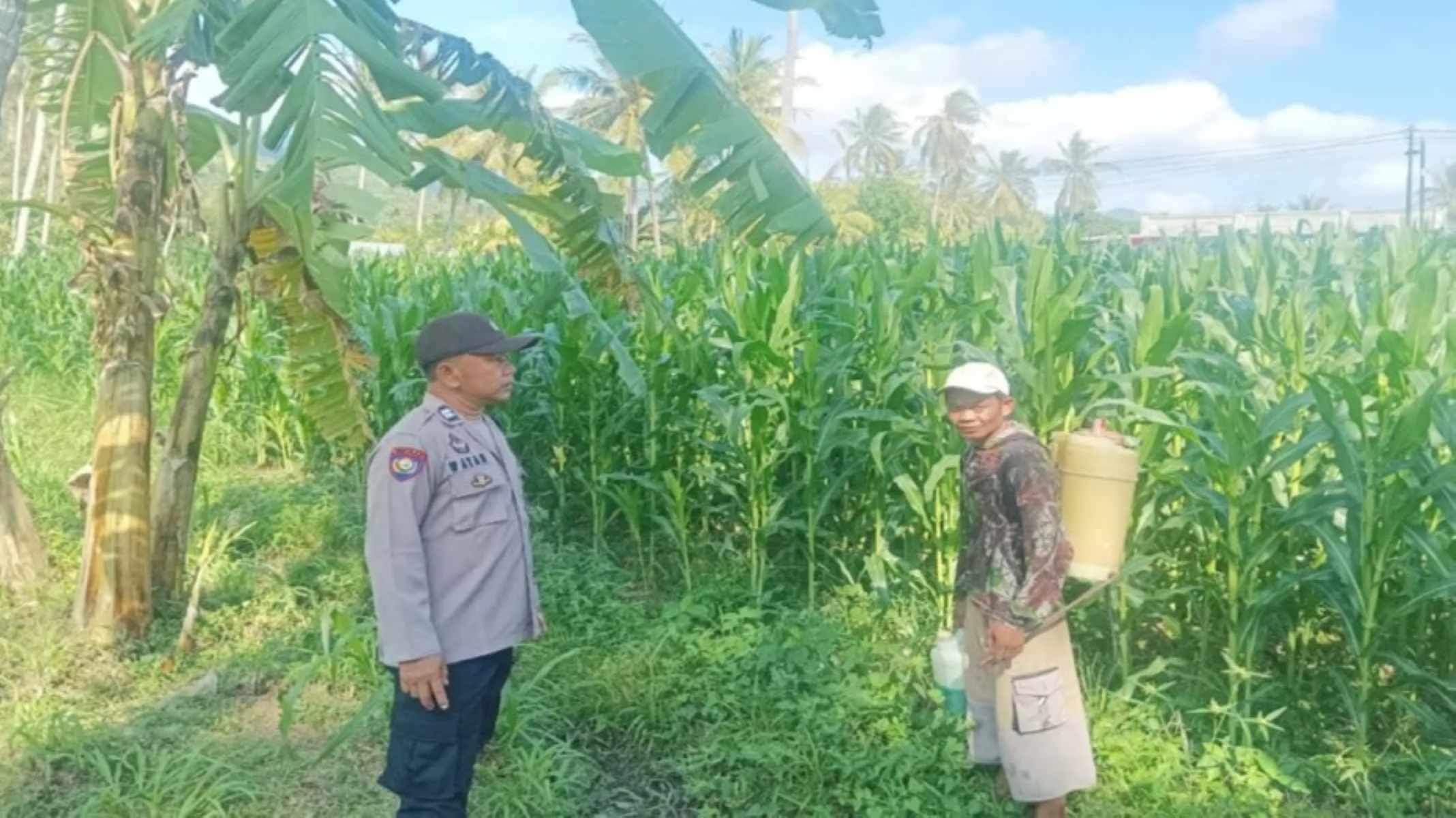 Sinergi Bhabinkamtibmas dan Peternak Gerung Perkuat Pangan