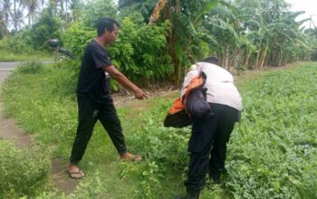 Polsek Sekotong Kawal Program Ketahanan Pangan di Lombok Barat