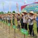 Panen Raya Jagung di Lombok Barat: NTB Perkuat Ketahanan Pangan 2026