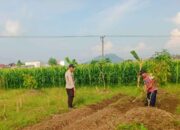 Labuapi Edukasi Petani Optimalkan Lahan Produktif