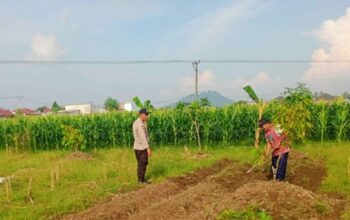 Labuapi Edukasi Petani Optimalkan Lahan Produktif