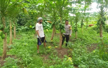 Edukasi Pemanfaatan Lahan Kosong oleh Bhabinkamtibmas Jagaraga